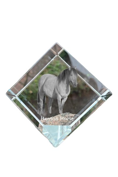 Art - Dog Prespapier cub de cristal Art-Dog, cal Henson cu gravură de cal - C...