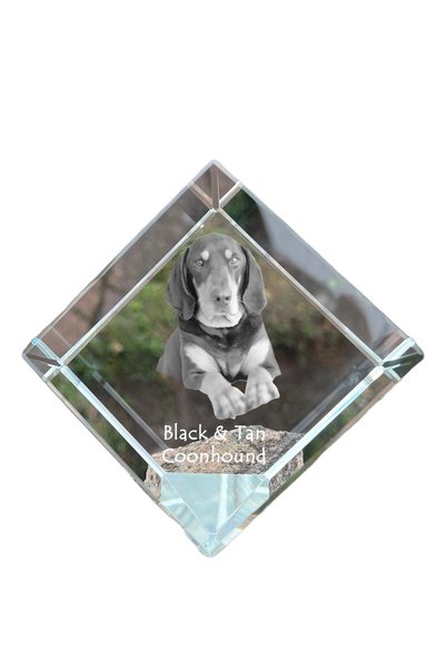 Art - Dog Prespapier cub de cristal Art-Dog, Coonhound negru și bej, cu gravu...
