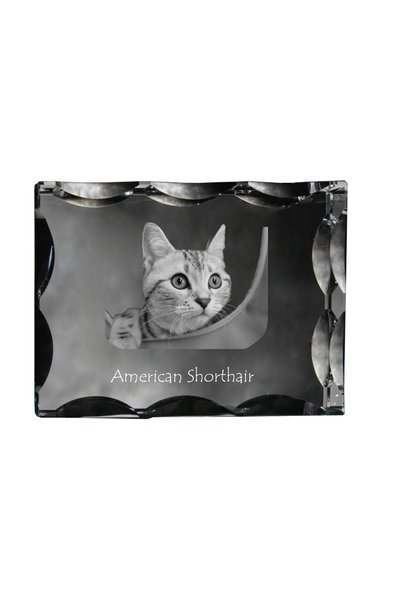 Art - Dog Art-Dog Cristal dreptunghiular cu margini decorative, American Shor...