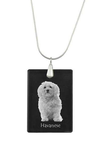 Art - Dog Colier cu pandantiv de cristal Art-Dog pe lanț placat cu argint, Ha...