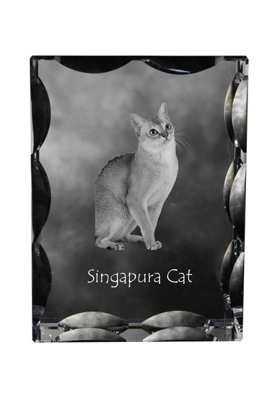 Art - Dog Art-Dog Cristal dreptunghiular cu margini decorative, Pisică Singap...