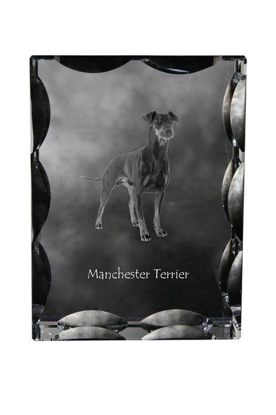 Art - Dog Art-Dog Cristal dreptunghiular cu margini decorative Manchester Ter...