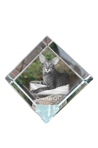 Art - Dog Prespapier Cub de Cristal Art-Dog, Pescăruș Oriental cu Gravură Pisică
