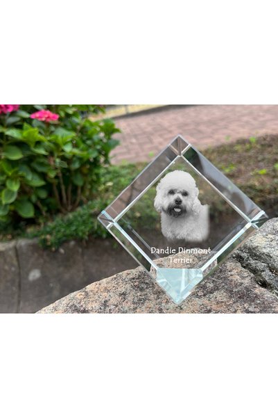 Art - Dog Prespapier cub de cristal Art-Dog Dandie Dinmont Terrier cu gravură...