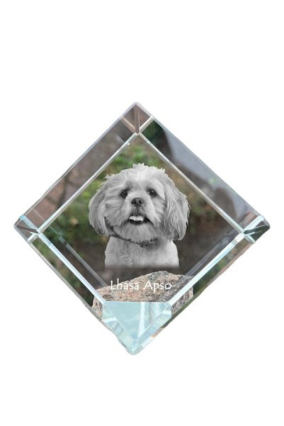 Art - Dog Prespapier Cub de Cristal Art-Dog Lhasa Apso cu Gravură Câine - Cri...