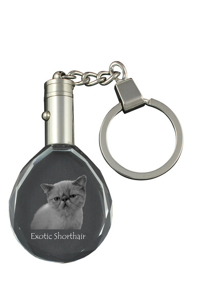 Art - Dog Breloc oval din cristal Art-Dog cu pisică exotica scurt-păr, gravat