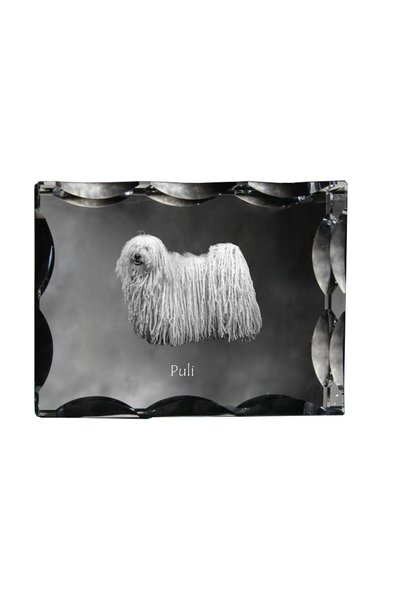 Art - Dog Art-Dog Cristal dreptunghiular cu margini decorative, Puli cu gravu...
