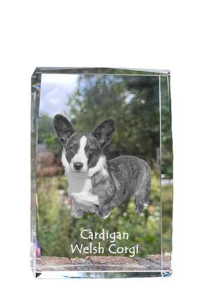 Art - Dog Cardigan Art-Dog cu cristale mari și margini decorative, Corgi Wels...
