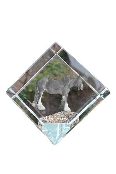 Art - Dog Prespapier cub de cristal Art-Dog, cal Shire cu gravură de cal - Cr...