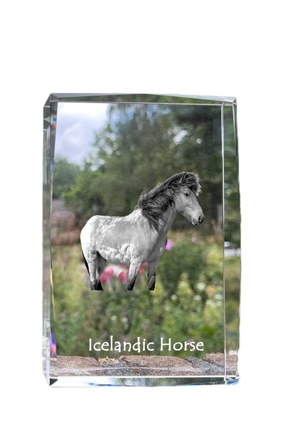 Art - Dog Art-Dog Cristal Mare cu Margini Decorative, Cal Islandez cu Gravură...