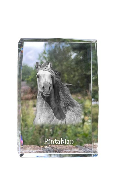Art - Dog Art-Dog Cristal Mare cu Margini Decorative Pintabian cu Gravură de Cal