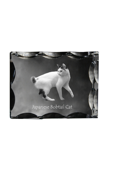 Art - Dog Art-Dog Cristal dreptunghiular cu margini decorative, Bobtail japon...