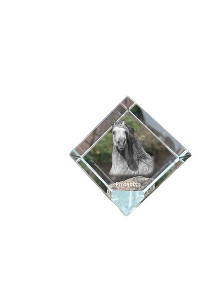Art - Dog Prespapier cub de cristal Art-Dog Pintabian cu gravură de cal - Cri...