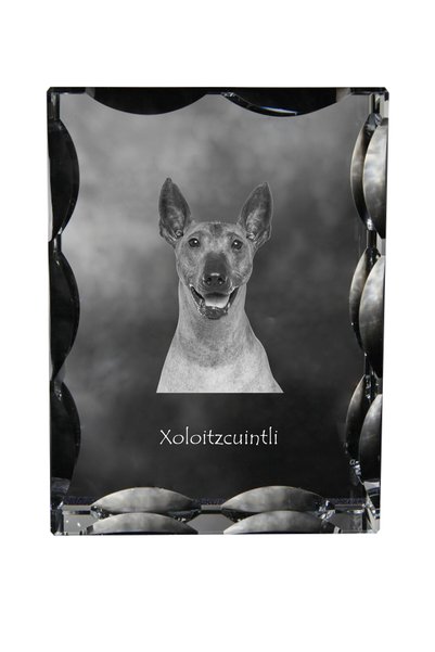 Art - Dog Art-Dog Cristal dreptunghiular cu margini decorative Xoloitzcuintle...