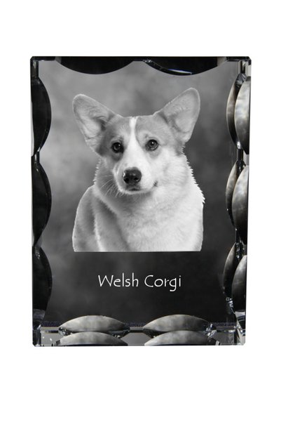 Art - Dog Art-Dog Cristal dreptunghiular cu margini decorative, Corgi Pembrok...