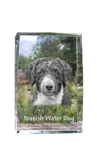 Art - Dog Art-Dog Cristal mare cu margini decorative, câine spaniol de apă cu...