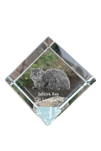 Art - Dog Prespapier Cub de Cristal Art-Dog Selkirk Rex Păr Lung cu Gravură P...