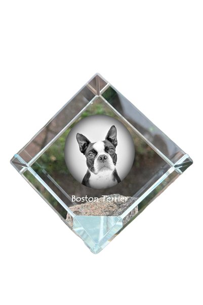 Art - Dog Prespapier cub de cristal Art-Dog Boston Terrier cu gravură de câin...