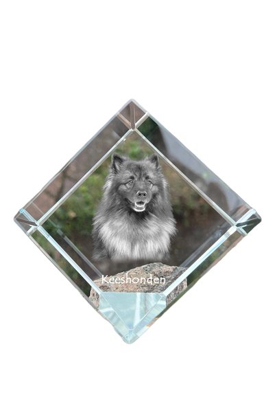 Art - Dog Prespapier cub de cristal Art-Dog Keeshond cu gravură de câine - Cr...