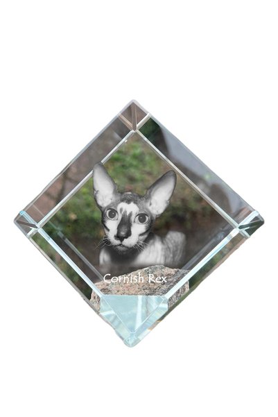 Art - Dog Prespapier cub de cristal Art-Dog Cornish Rex cu gravură pisică - C...