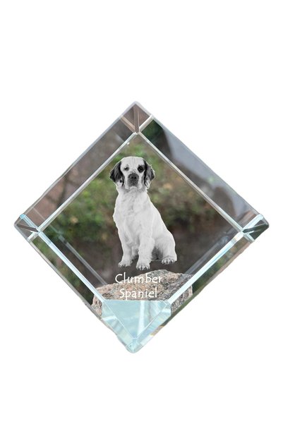 Art - Dog Prespapier cub de cristal Art-Dog cu spaniel Clumber și gravură cu ...