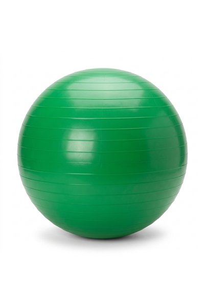 THERABAND Pro Series SCP Exercise Ball, Slow Deflate Stability Ball for Core ...