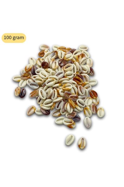 Oxford İplik Acrylic Seashell Beads - Greyhound Beads, 100 grams