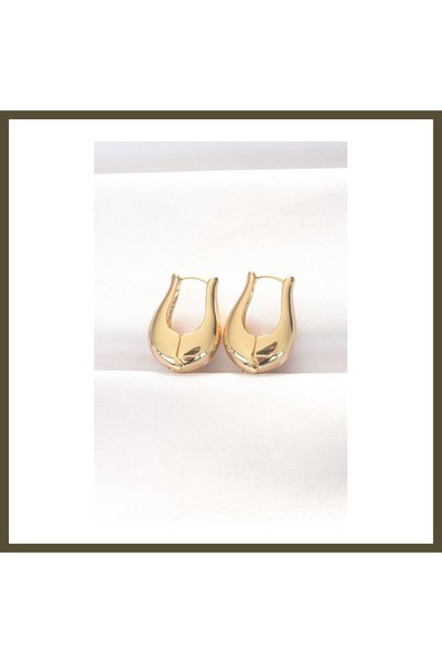 northcity n Gold-Toned Curved Earrings BX