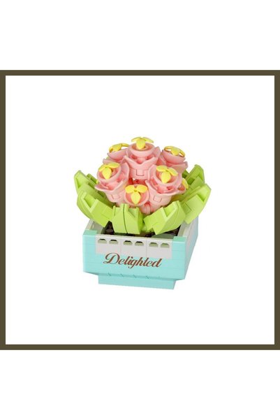 northcity n Potted Plants: Succulent Series 3D Puzzle BX