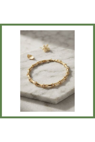 Hobibahçem Gold-Colored Bone-Shaped Zircon Stone Women's Bracelet HB006