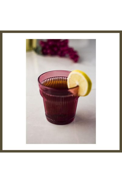 northcity n Acrylic Plum 6-Pack of Short Glasses & Water/Soft Drink/Coffee Si...