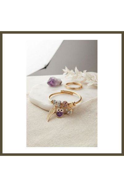 northcity n Purple Owl Modal Gold-Colored Charm Bracelet BX