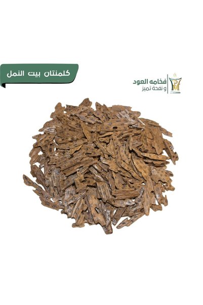 Marasim Al-Teeb Two Words for the Ant Nest.
