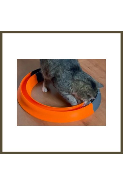 northcity n 3D-Printed Ring-Shaped Ball Obstacle Course Toy for Cats—Round Ba...