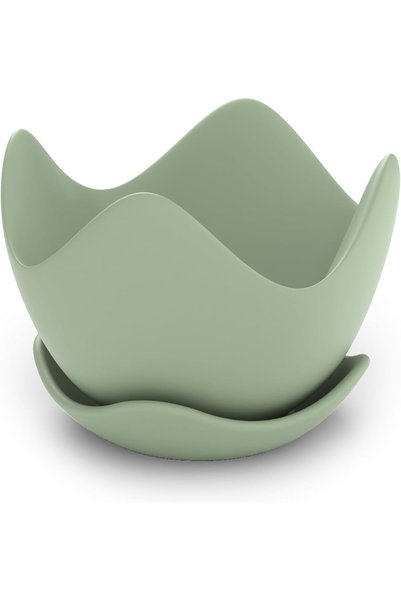 Generic Tulip Wave Plant Pot with Saucer and Drainage Holes, Petal Rim Flower...