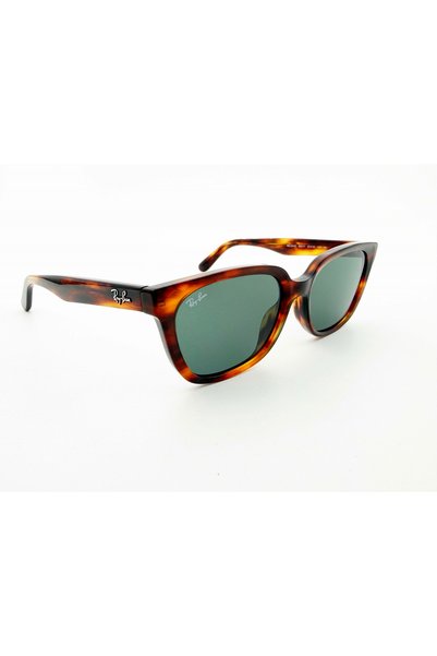 Ray-Ban 2243D 954/71 55 Men's Sunglasses