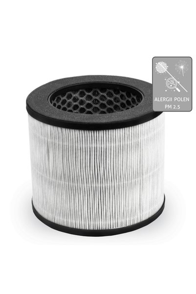 Turbionaire T - Performance D20TP air filter for D20AD purifier, 99.97% effic...