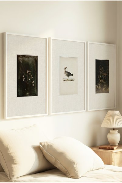 Zevahir Home 3 VINTAGE PAINTINGS WITH WHITE WOODEN FRAMES FEATURING WILTED BR...