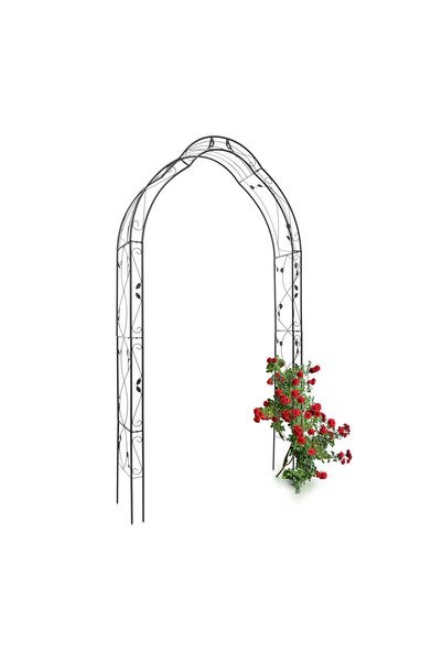 Relaxdays Arcadă de grădină metalică pentru flori cățărătoare, Negru, 255 x 1...