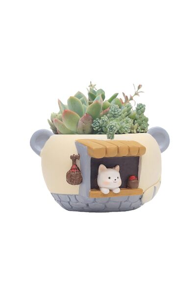 Tazweeq Cat Planter, Cat Flower Pot, Cute Indoor Flower Pots for Succulents, ...