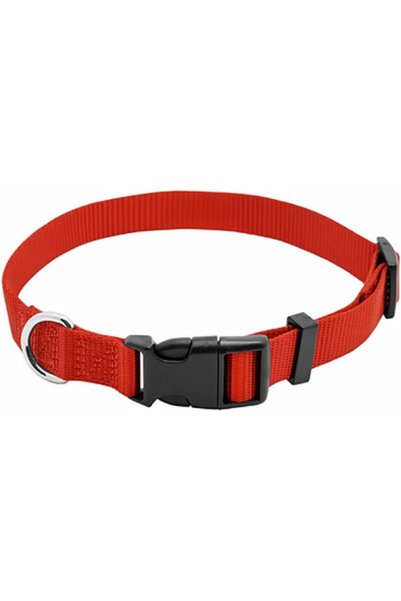 westminster PE5/8X16 RED DOG COLLAR