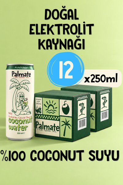 %100 Coconut Suyu Hindistan Cevizi Suyu 12x250 ML