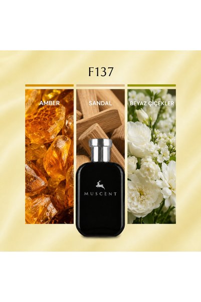 MUSCENT F137 Sxy Amber 50 ml.
