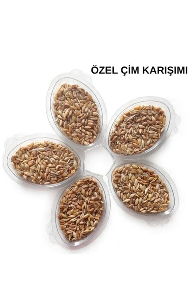 Genel Markalar Kedi Çimi Tohumu Özel Karışım 5'li Paket Kedi Otu Tohumu