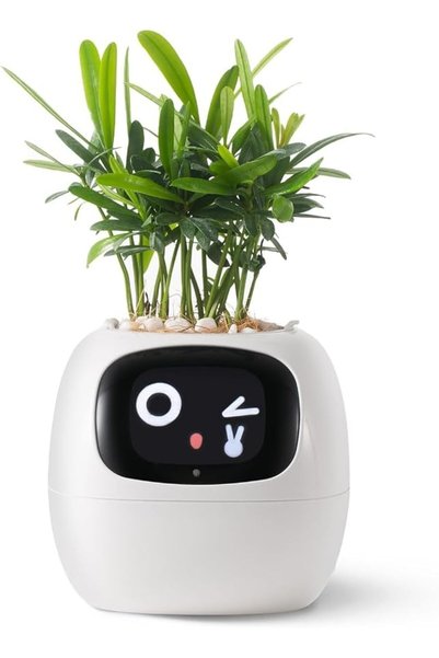 PLANTSIO روبوت زهور ذكي من آيفي إنترأكتيف، رفيق مكتب ذكي ونبات اصطناعي لطيف ل...