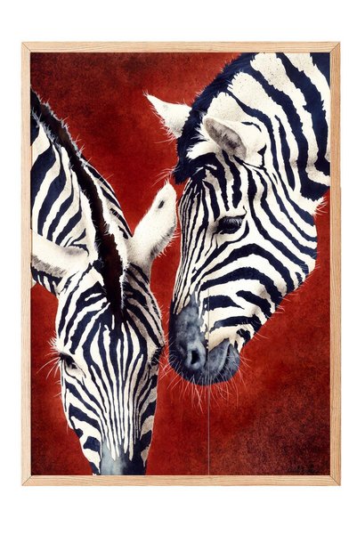 Postifull "Two Zebras Interacting" Poster – Wood-Framed Artwork No. 160613