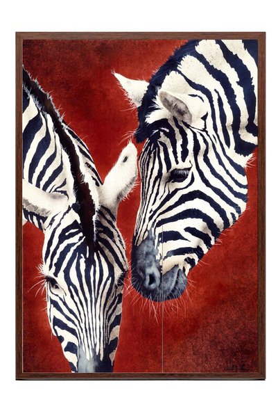Postifull "Two Zebras Interacting" Poster – Brown-Framed Artwork No. 160613