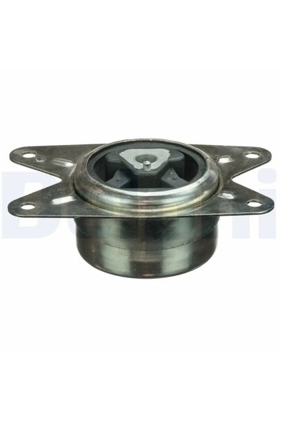 DELPHİ Suport motor TEM093
