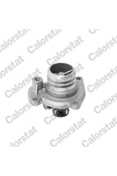 CALORSTAT by Vernet Termostat lichid de răcire TH5951.92J