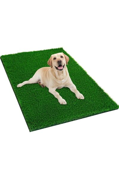 Andtooy Artificial Grass Mat - Premium Synthetic Turf Puppy Potty Training Pa...